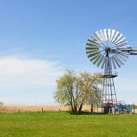 Moderne Mit Gartennutzung - Haus Inselwind Meerbucht Groß Zicker
